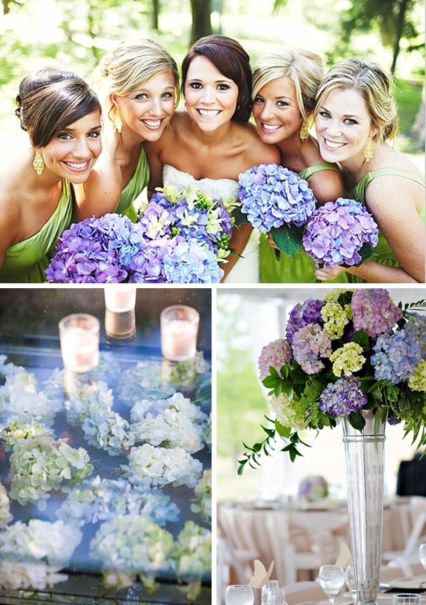 Hydrangea Wedding Flowers
