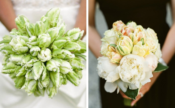 Parrot Tulip Bouquets