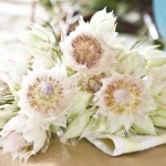 Wedding Flowers: Blushing Brides