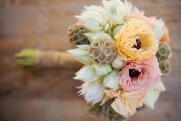 Blushing Bride Proteas