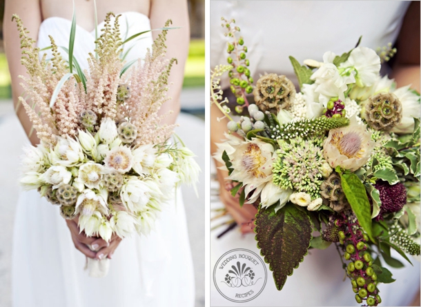 Blushing Bride Proteas