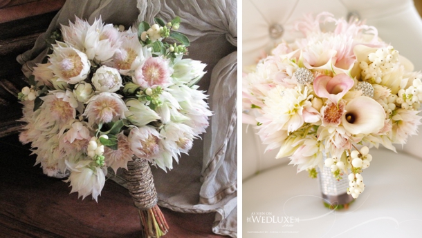 Native Protea Blushing Bride Cream (60cmH)