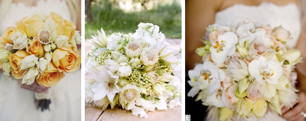 Blushing Bride Proteas