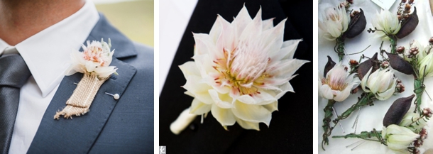 Blushing Bride Proteas