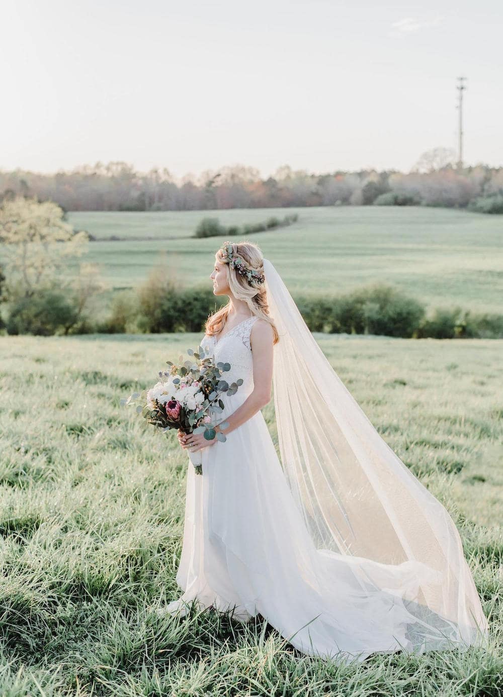 Cathedral Length Wedding Veils