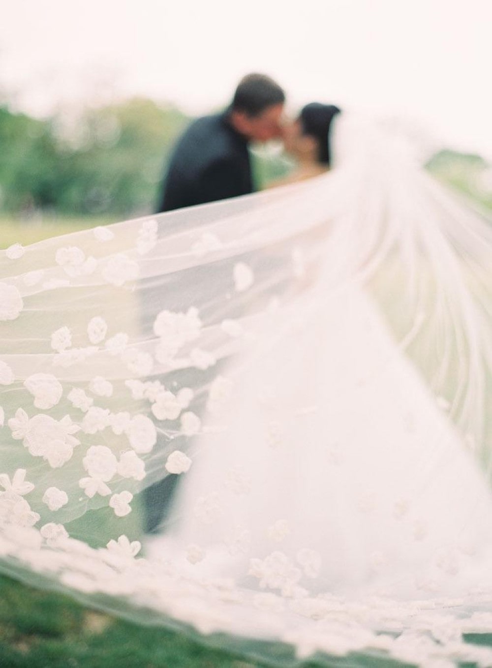 cathedral length wedding veils