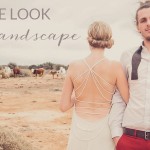 Get the Look: Protea Landscape