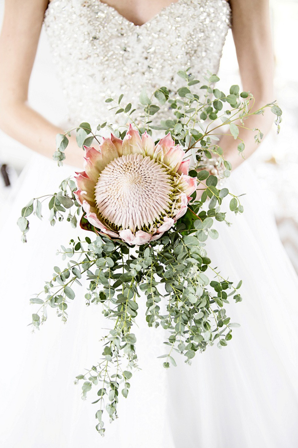 Wedding Flowers: Blushing Bride Protea