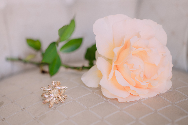 Elegant Al Fresco Wedding at Dairy Shed