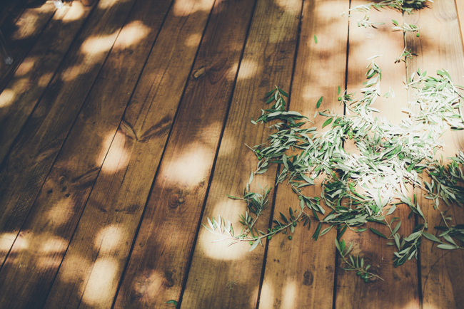 Eucalyptus Confetti | Image: Fiona Clair