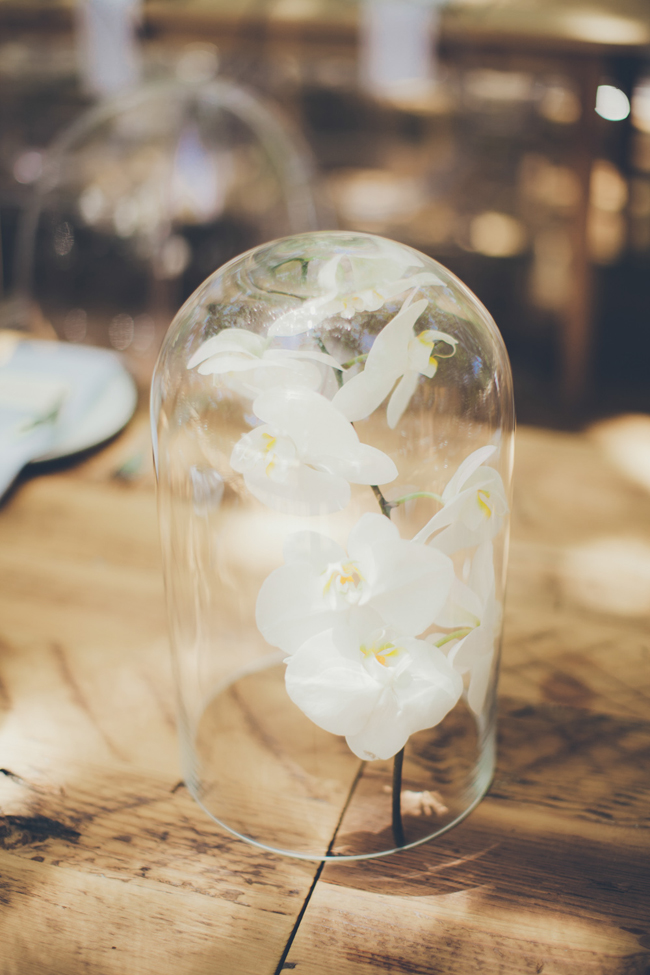 Glass Cloche Centerpiece | Image: Fiona Clair