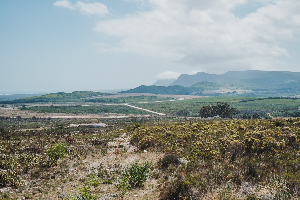 Cape Wedding | Credit: Bold As Love