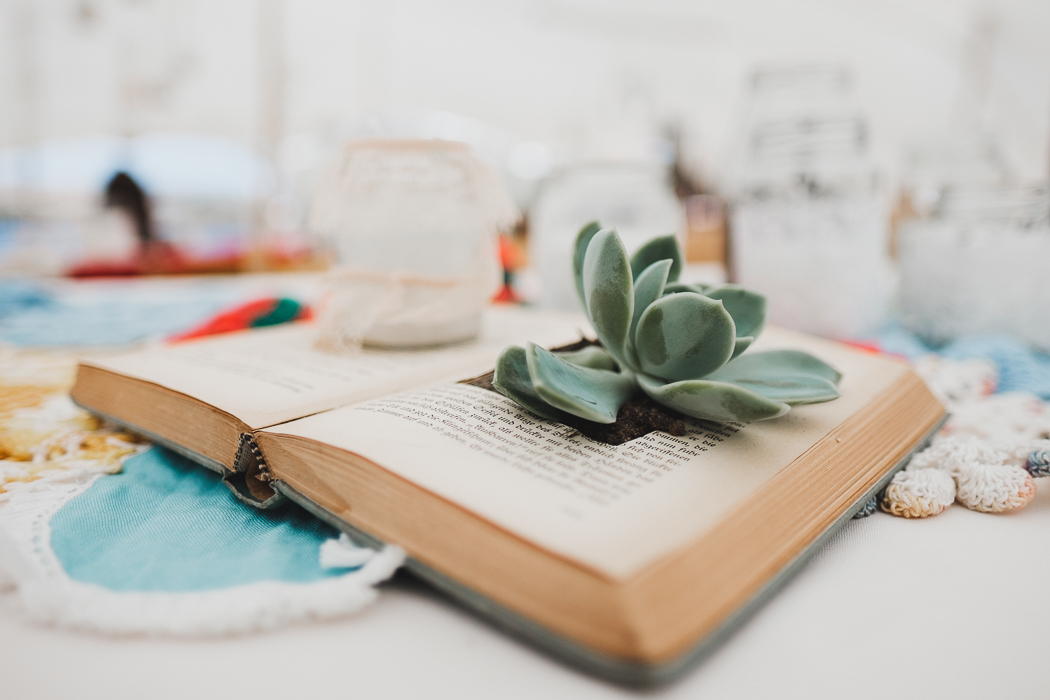 Succulent in Book Centerpiece | Credit: Bold As Love