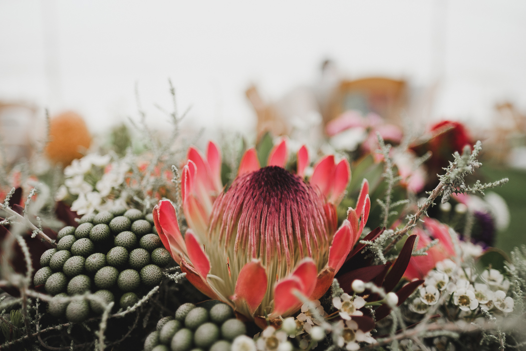 Protea Centerpiece | Credit: Bold As Love