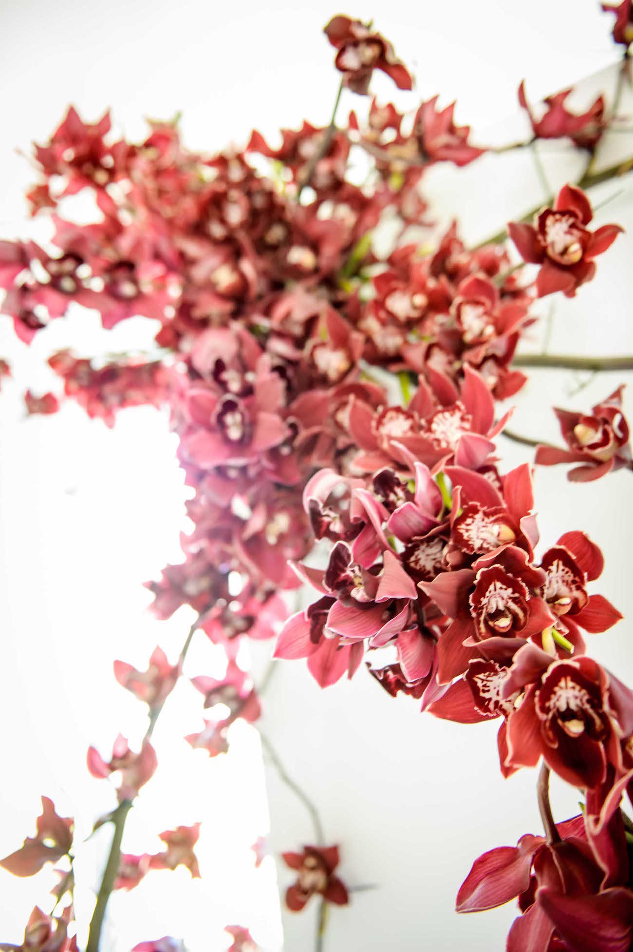 Orchid Wedding Arch| Credit: Vizion Photography