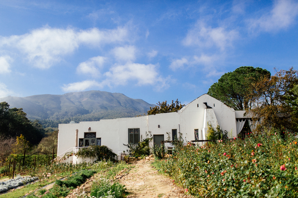 Langkloof Roses Wedding Venue | Images: Marli Koen