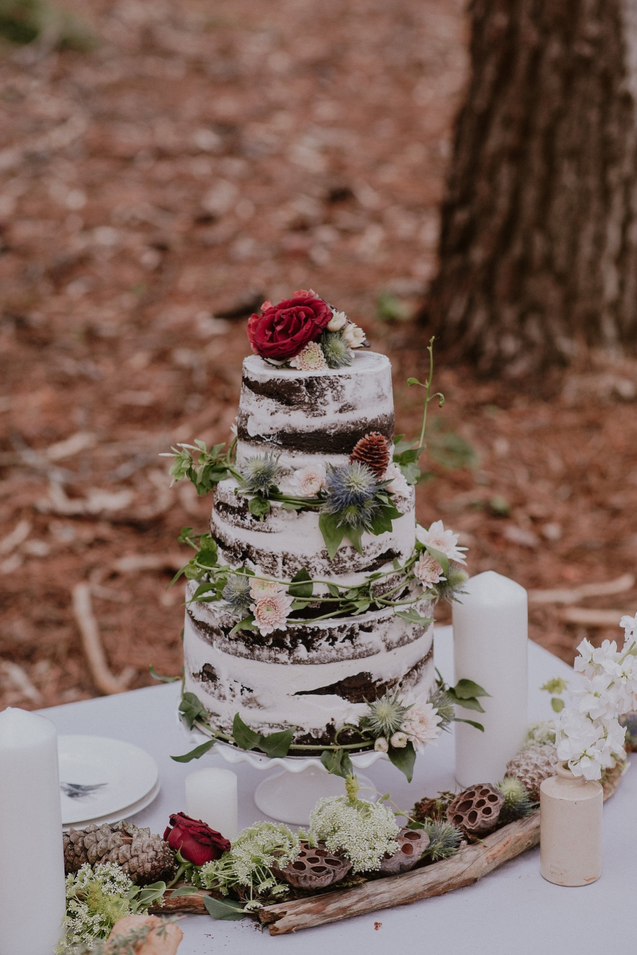 Chocolate Naked Cake | Credit: Lad & Lass Photography