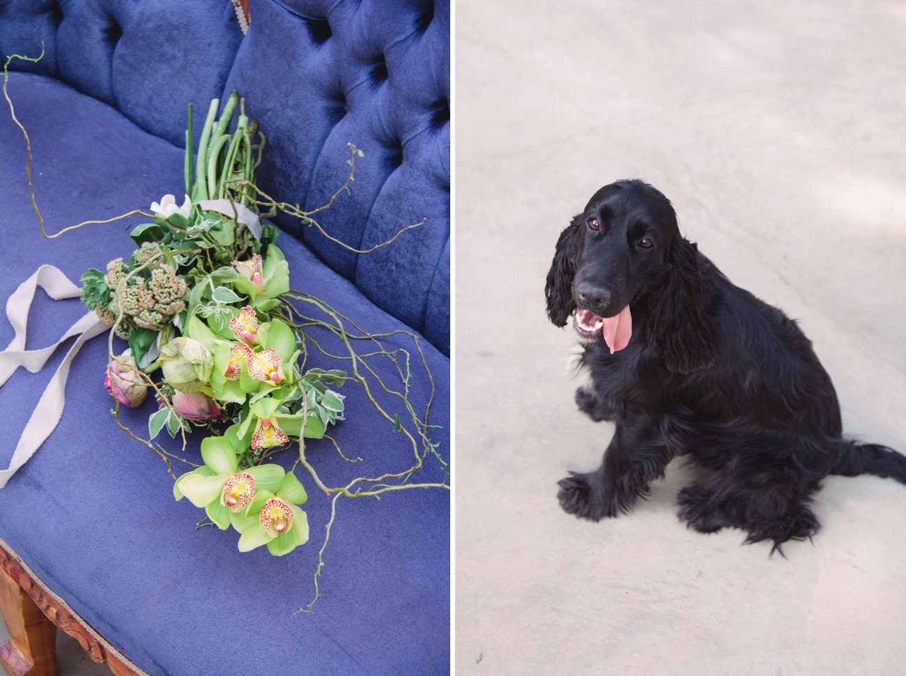 Indigo & Grey Rustic Wedding Inspiration | Credit: Dust & Dreams Photography