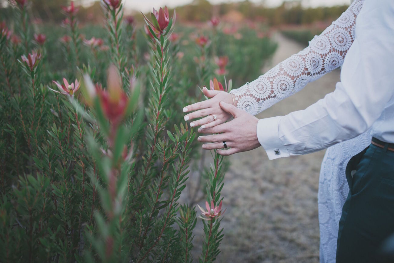 Protea Farm Wedding | Credit: Vicky Bergallo