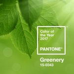 Pantone Colour of the Year 2017: Greenery