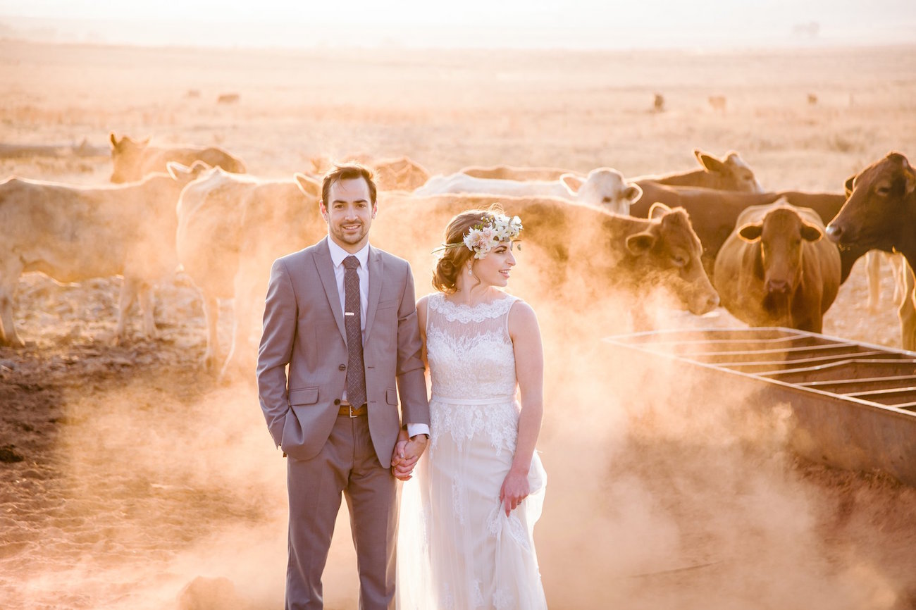 Bride and Groom with Cattle | Image: JCclick