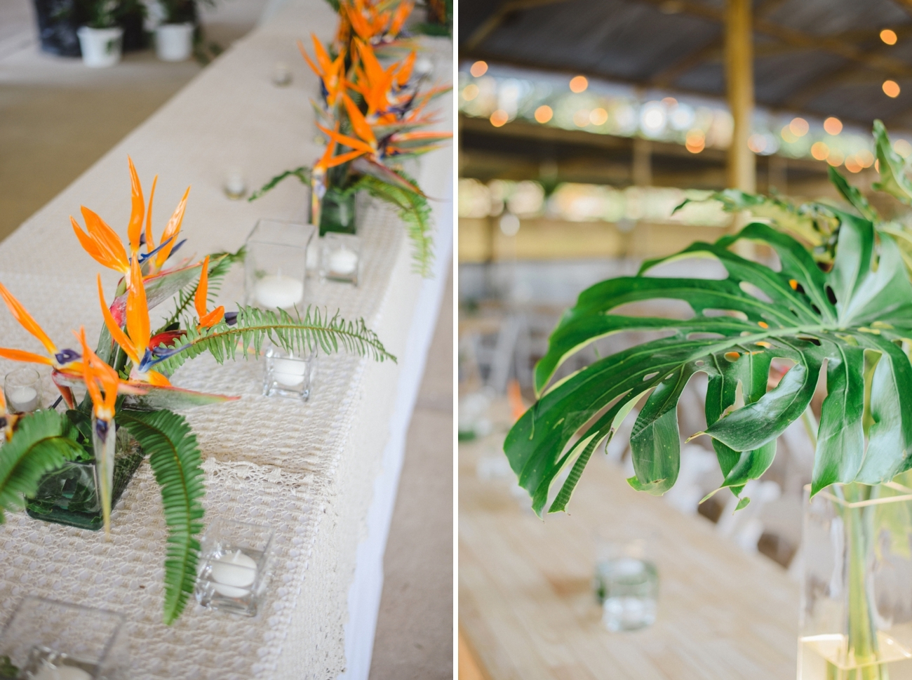 Strelizia Centerpiece | Credit: Oh Happy Day & Dane Peterson