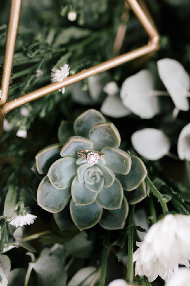 Succulent Ring Shot | Credit: Anike Benade