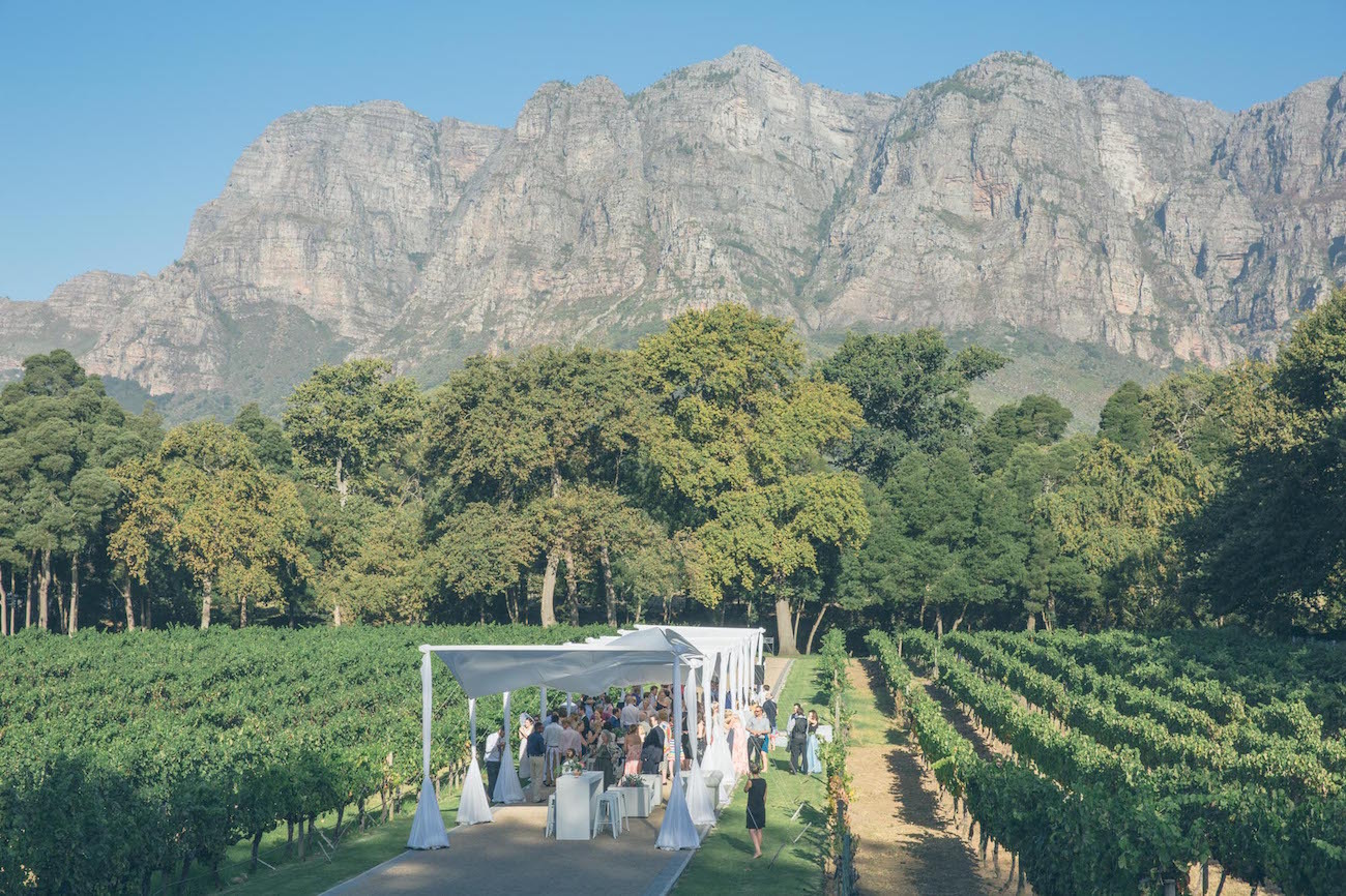 Molenvliet Vineyard Wedding Reception | Credit: Shanna Jones