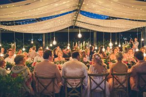 Magical Midsummer Vineyard Wedding Reception at Molenvliet | Credit: Shanna Jones