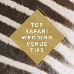 How to Choose a Safari Wedding Venue with Absolute Perfection