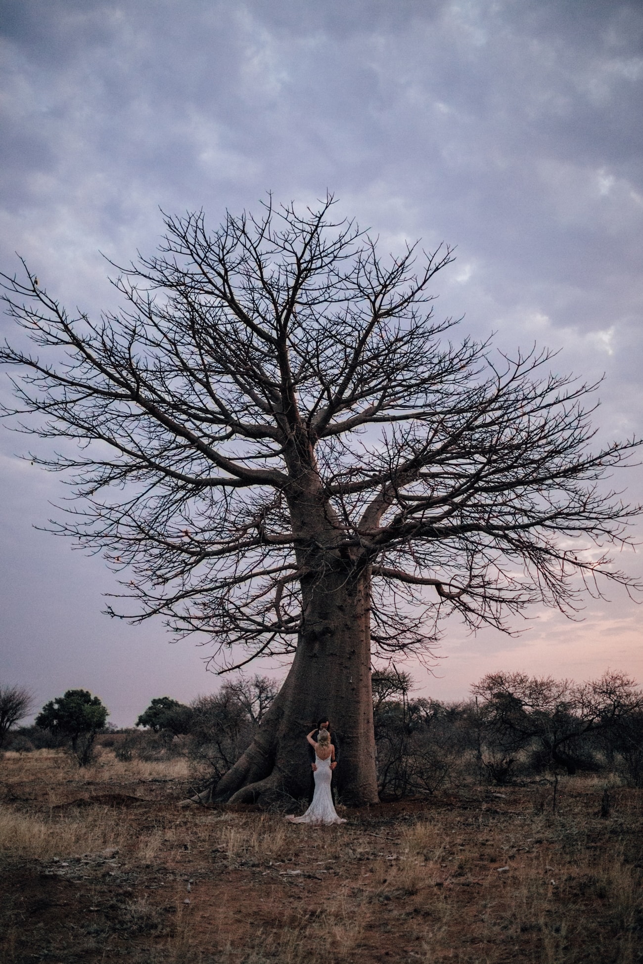 South Africa Bush Wedding | Credit: Page & Holmes