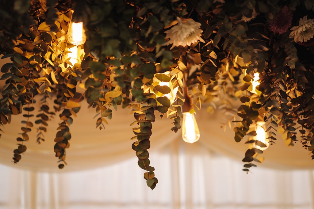 Edison Bulbs & Eucalyptus Leaves | Image: The Shank Tank