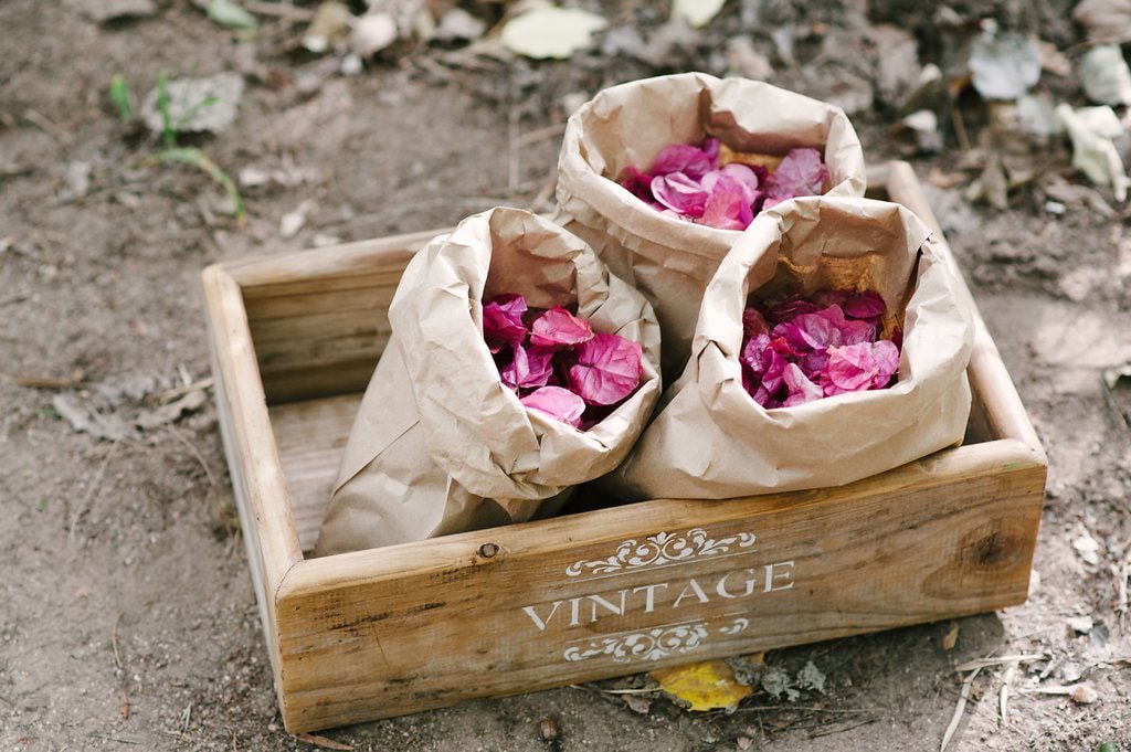 Dried Bougainvillea Confetti | Image: Cheryl McEwan