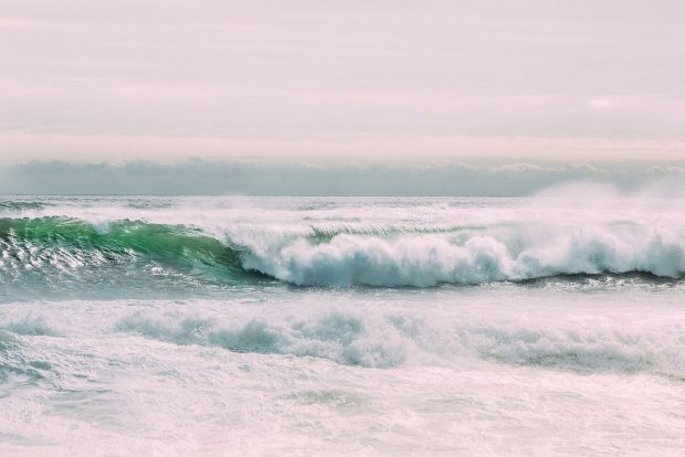 Beach Meets Bushveld Wedding by Charlene Schreuder | SouthBound Bride